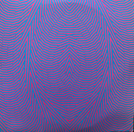 AUDION / JUST FUCKING