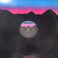 ARETHA FRANKLIN / Ain't Nobody Ever Loved You