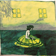 ANIMAL COLLECTIVE / PROSPECT HUMMER