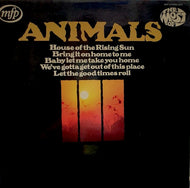 ANIMALS / THE MOST OF ANIMALS