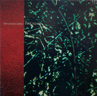 ASSOCIATES / Fire To Ice
