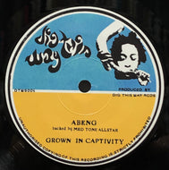 ABENG BACKED BY MED TONE ALLSTAR  / Grown In Captivity