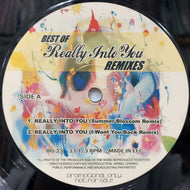 AROUND THE WAY / Best Of Really Into You Remixes