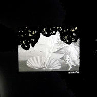 AFTER DARK / V.A. [AFTER DARK]