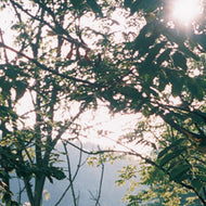 AUTUMNLEAF / THE FOOT