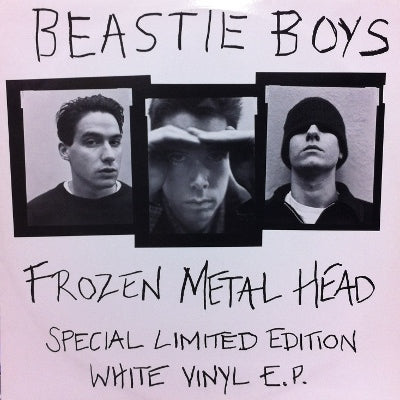 BEASTIE BOYS / FROZEN METAL HEAD