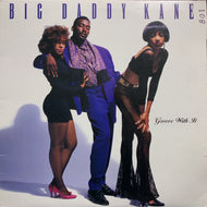 BIG DADDY KANE / GROOVE WITH IT