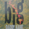 BIG DADDY KANE / ITS HARD BEING THE KANE