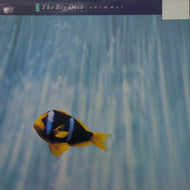 BIG DISH / SWIMMER