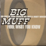 BIG MUFF / FEEL WHAT YOU KNOW