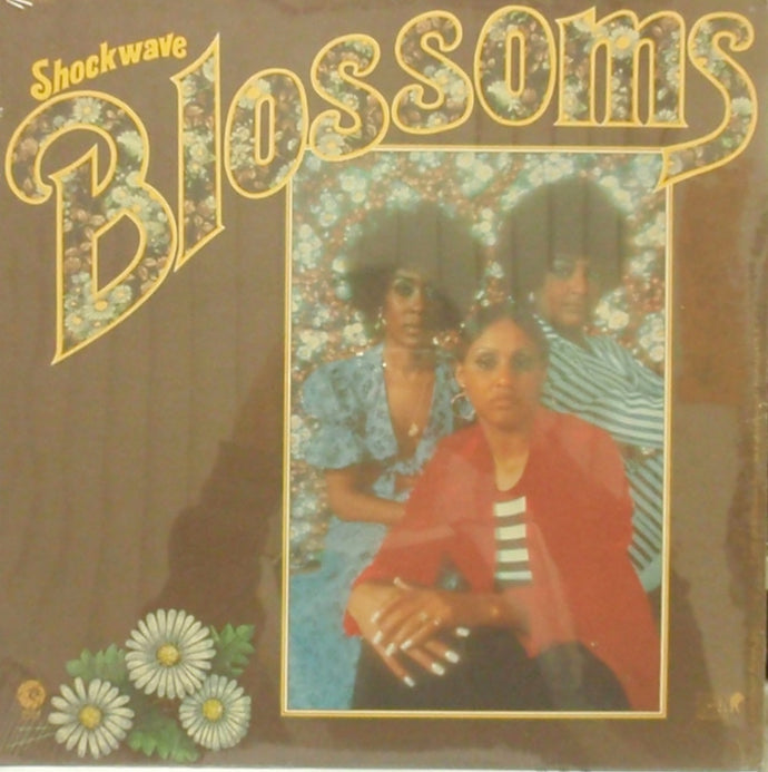 ★ＵＳオリジナル盤★『SHOCKWAVE』THE BLOSSOMS NC02NzI2LmpwZWc.jpeg