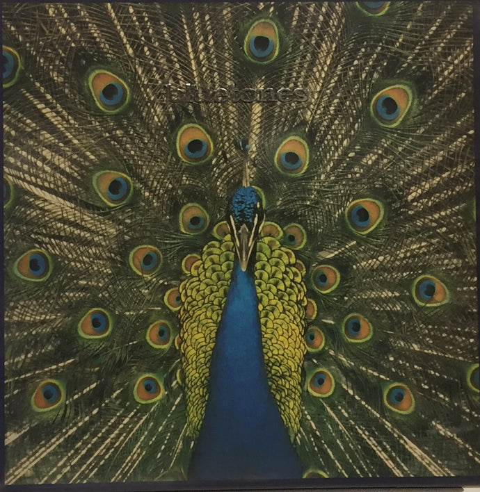 Bluetones Expecting to Fly アナログレコード BLUETONES / EXPECTING TO FLY – TICRO MARKET