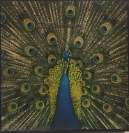 BLUETONES / EXPECTING TO FLY