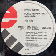 BRAND NUBIAN / PUNKS JUMP UP TO GET BEAT DOWN