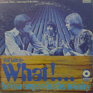 BRIAN AUGERS & THE TRINITY / DEFINITELY WHAT！