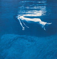 BILL EVANS / Undercurrent (180g)