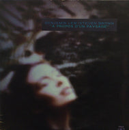 BENJAMIN LEW / STEVEN BROWN / A PROPOS DUN PAYSAGE