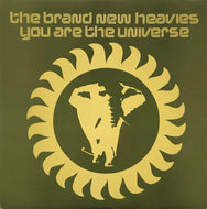 BRAND NEW HEAVIES / You Are The Universe