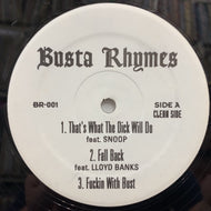BUSTA RHYMES / THAT'S WHAT THE DICK WILL DO