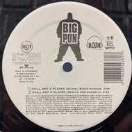 BIG PUNISHER / STILL NOT A PLAYER (REMIX)