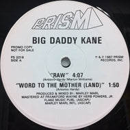 BIG DADDY KANE / RAW