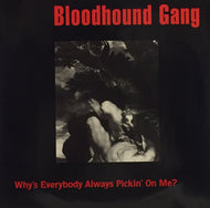 BLOODHOUND GANG / WHY'S EVERY BODY ALWAYS PICKIN' ON ME?