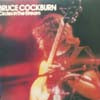 BRUCE COOKBURN / CIRCLES IN THE STREAM