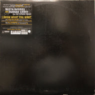 BUSTA RHYMES / I KNOW WHAT YOU WANT