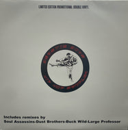 BEASTIE BOYS / HIP HOP SAMPLER
