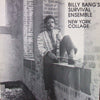 BILLY BANG'S SURVIVAL ENSEMBLE / NEW YORK COLLAGE