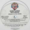 BONEY JAMES / RICK BRAUM / GRAZIN' IN THE GRASS