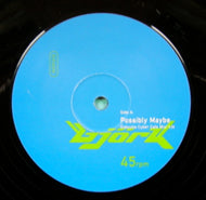 BJORK / POSSIBLY MAYBE