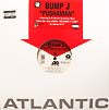 BUMP J / PUSHAMAN