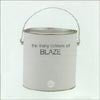 BLAZE / THE MANY COLOURS OF