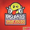 BIG BASS vs. MICHELLE NARINE / WHAT YOU DO (PLAYING WITH STONES)