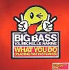 BIG BASS vs. MICHELLE NARINE / WHAT YOU DO (PLAYING WITH STONES)