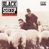 BLACK SHEEP / A WOLF IN SHEEP'S CLOTHING