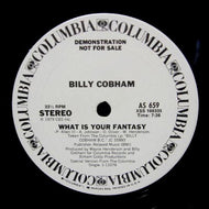 BILLY COBHAM / WHAT IS YOUR FANTASY