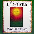 BIG MOUNTAIN / SWEET SENSUAL LOVE