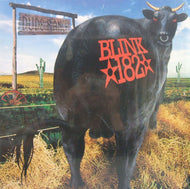 BLINK 182 / DUDE RANCH