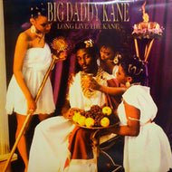 BIG DADDY KANE / LONG LIVE THE KANE