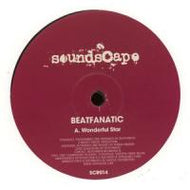 BEATFANATIC / WONDERFUL STAR