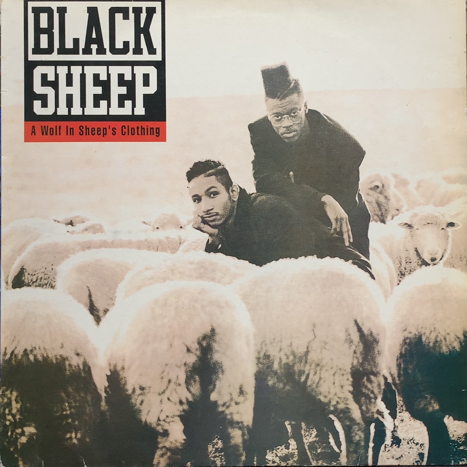 BLACK SHEEP / A WOLF IN SHEEP'S CLOTHING (Reissue) – TICRO MARKET