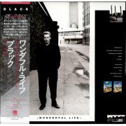 BLACK / WONDERFUL LIFE