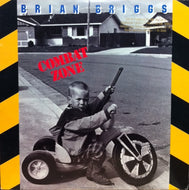 BRIAN BRIGGS / COMBAT ZONE