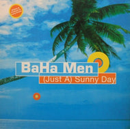 BAHA MEN / (JUST A) SUNNY DAY