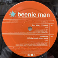 BEENIE MAN & JANET / FEEL IT BOY