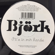BJORK / IT'S IN OUR HANDS