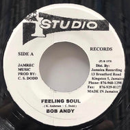 BOB ANDY / FEELING SOUL