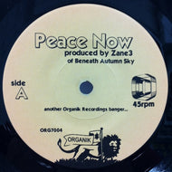 BENEATH AUTUMN SKY / PEACE NOW